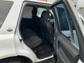 Land Rover Freelander 2.2 td4 SE 4wd 150cv Blanc - thumbnail 7