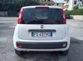 Fiat Panda Panda 1.2 Easy 69cv Blanc - thumbnail 4