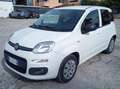 Fiat Panda Panda 1.2 Easy 69cv Blanc - thumbnail 1