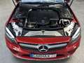 Mercedes-Benz C 220 C C 220d AMG Line LED Navi Akustik Kamera Rouge - thumbnail 40