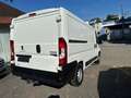 Peugeot Boxer Kasten 335 L2H1 Pro BlueHDi 140 Stop&Start Wit - thumbnail 9