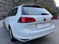 Volkswagen Golf Variant Golf VII Variant 1.4 TGI 110CV EXECUTIVE MET/BENZ Bianco - thumbnail 3