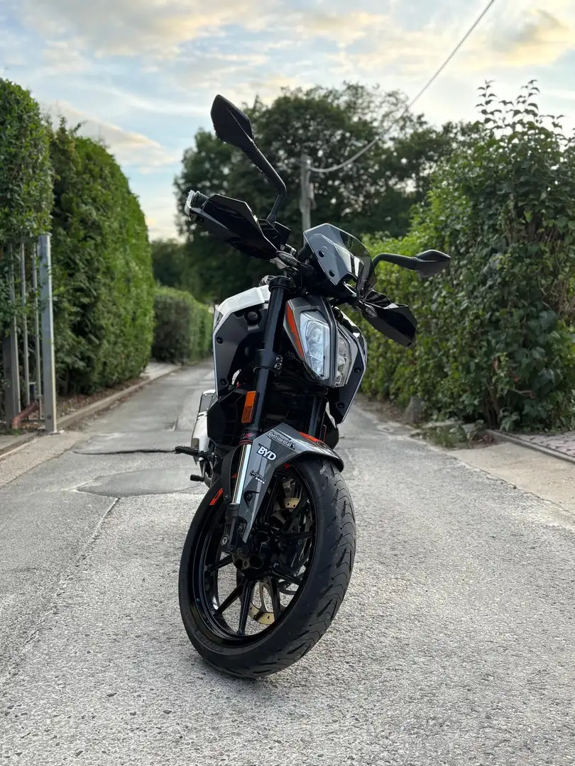 KTM 125 Duke Backyard Design Silber Plateado - 2