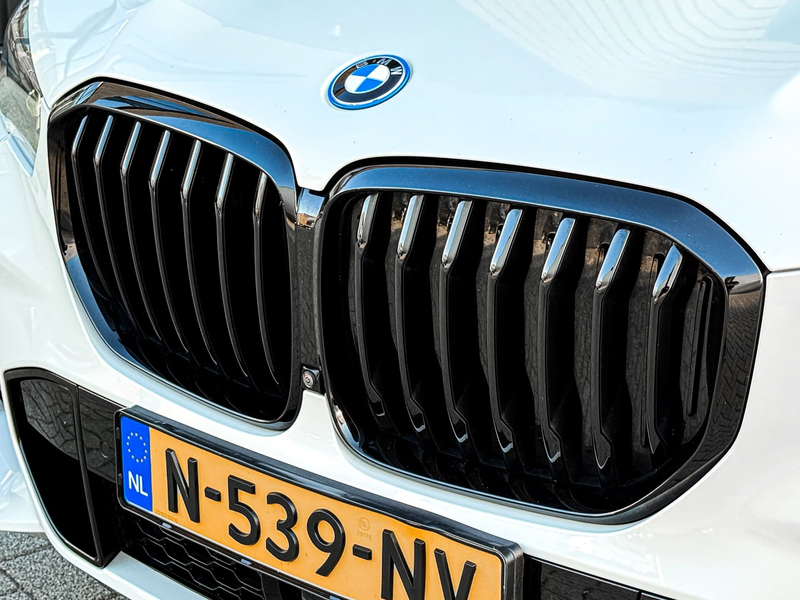 BMW X5 XDrive45e High Executive 3X M-SPORT B&W/TREKHAAK/P — photo 9