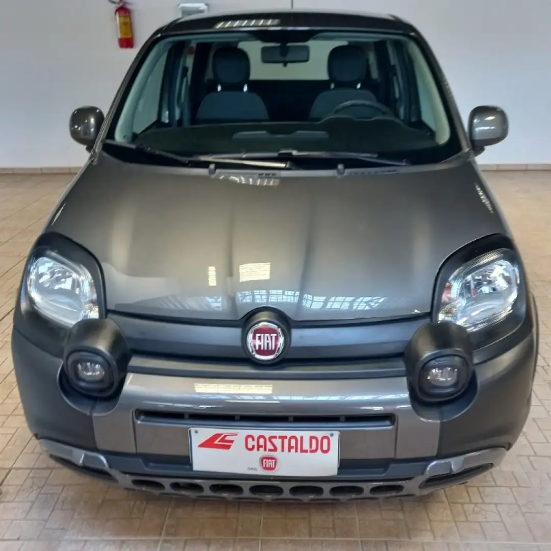 Fiat Panda 1.0 FireFly S&S Hybrid City Cross siva - 1