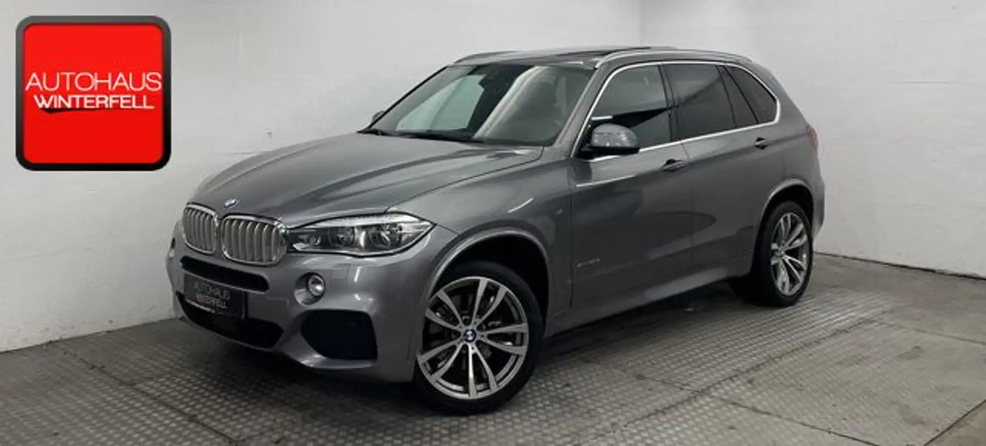 BMW X5 M xDrive40d M SPORT PANO+AHK+SOFT+HUD+LED+MEMOR Gris - 1