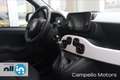 Fiat Panda Panda 1.0 70cv Hybrid Pandina My25 Vert - thumbnail 13