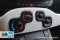 Fiat Panda Panda 1.0 70cv Hybrid Pandina My25 Vert - thumbnail 11