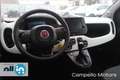 Fiat Panda Panda 1.0 70cv Hybrid Pandina My25 Vert - thumbnail 7