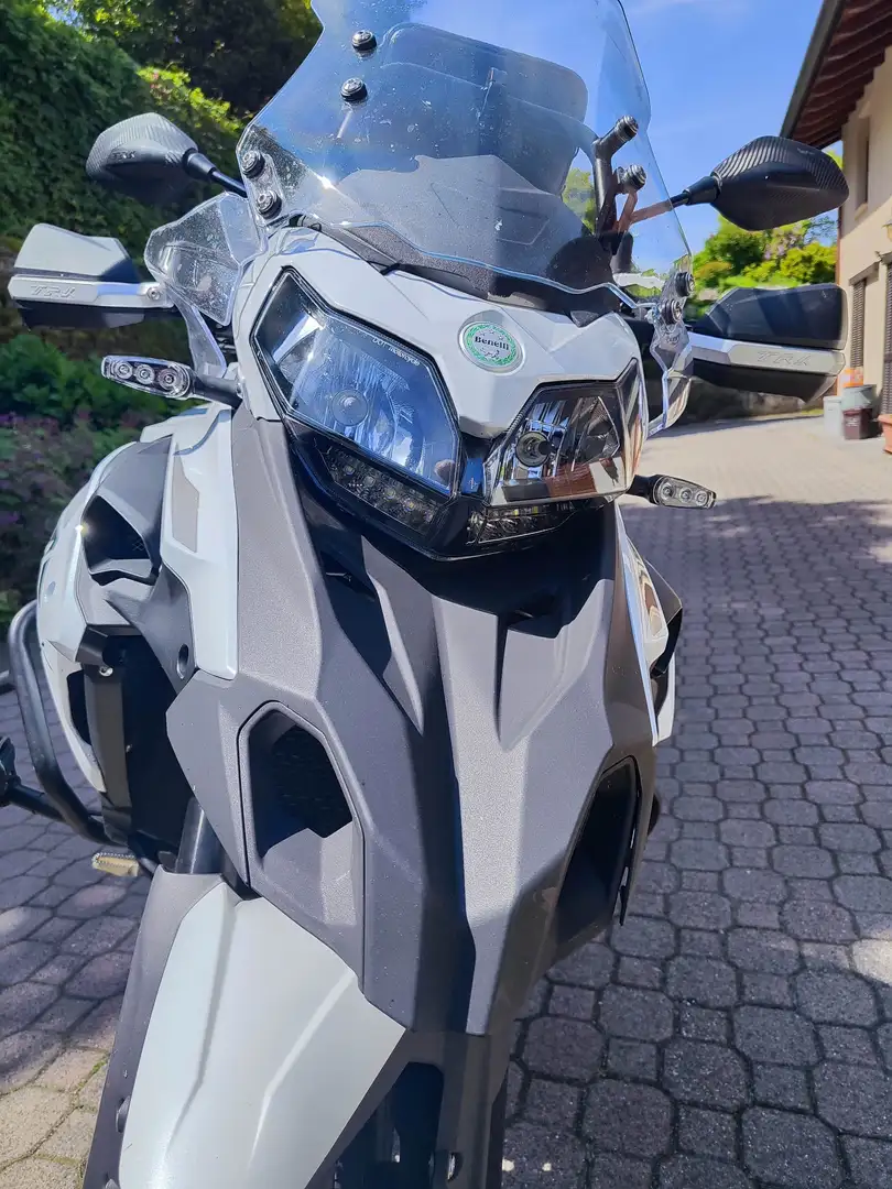 Benelli 502C TRK Alb - 2