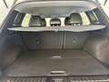 Renault Kadjar 1.7dCi Blue Zen 4x4 110kW Blanco - thumbnail 22