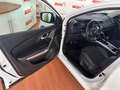 Renault Kadjar 1.7dCi Blue Zen 4x4 110kW Blanco - thumbnail 5