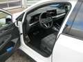 Volkswagen Golf GTI 2.0 TSI DSG-CarPlay-Pano-Navi-Kamera-19Zoll-LED Bianco - thumbnail 7