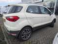 Ford EcoSport 1.0 EcoBoost Titanium | AIRCO | ALL-SEASON BANDEN Blanc - thumbnail 5