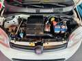 Fiat Panda 1.2 Active 69cv E5 NEOPATENTATI Blanc - thumbnail 12