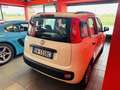 Fiat Panda 1.2 Active 69cv E5 NEOPATENTATI Blanc - thumbnail 7