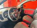 Fiat Panda 1.2 Active 69cv E5 NEOPATENTATI Blanc - thumbnail 9