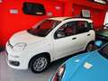 Fiat Panda 1.2 Active 69cv E5 NEOPATENTATI Blanc - thumbnail 4
