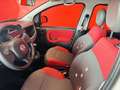 Fiat Panda 1.2 Active 69cv E5 NEOPATENTATI Blanc - thumbnail 10