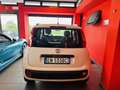 Fiat Panda 1.2 Active 69cv E5 NEOPATENTATI Blanc - thumbnail 6