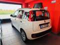 Fiat Panda 1.2 Active 69cv E5 NEOPATENTATI Blanc - thumbnail 5