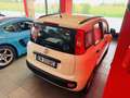 Fiat Panda 1.2 Active 69cv E5 NEOPATENTATI Blanc - thumbnail 8