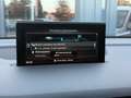 Audi Q7 3.0TDI|quattro|SLine|Pano|AHK|Kamera|Bose|VirtualC Weiß - thumbnail 43