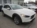 Mazda CX-30 /G140/AT/Centre-Line Weiß - thumbnail 4
