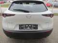 Mazda CX-30 /G140/AT/Centre-Line Weiß - thumbnail 7