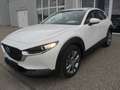 Mazda CX-30 /G140/AT/Centre-Line Weiß - thumbnail 2