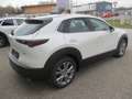 Mazda CX-30 /G140/AT/Centre-Line Weiß - thumbnail 6