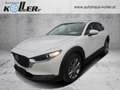 Mazda CX-30 /G140/AT/Centre-Line Weiß - thumbnail 1