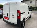 Fiat 1.3 16v MultiJet Kasten LKW NETTO €7.075,- Blanco - thumbnail 4