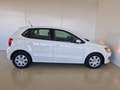 Volkswagen Polo 1.2 5 porte Trendline Bianco - thumbnail 6