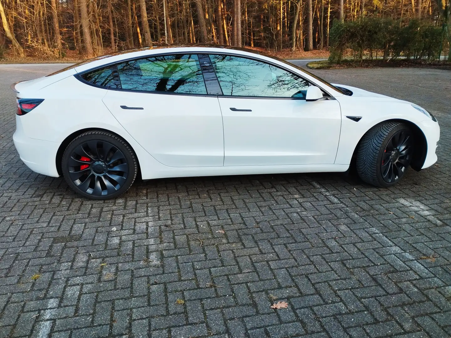 Tesla Model 3 Model 3 Performance Allrad Dual Motor 8-fach 534PS Weiß - 1
