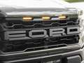 Ford F 150 2025 Raptor € 91500 FACELIFT! Groen - thumbnail 39