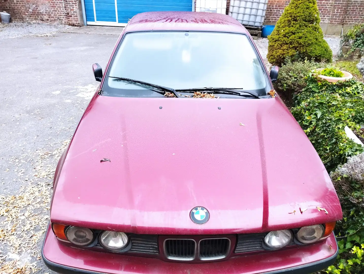 BMW 525 Czerwony - 1
