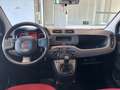 Fiat Panda 1.2 BENZINA *38000KM*PER NEOPATENTATI* Rouge - thumbnail 9
