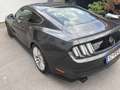 Ford Mustang 5,0 Ti-VCT V8 GT Schwarz - thumbnail 7