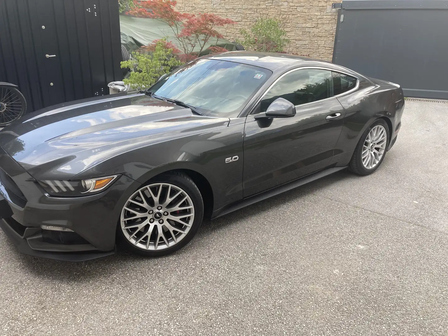 Ford Mustang 5,0 Ti-VCT V8 GT Schwarz - 1