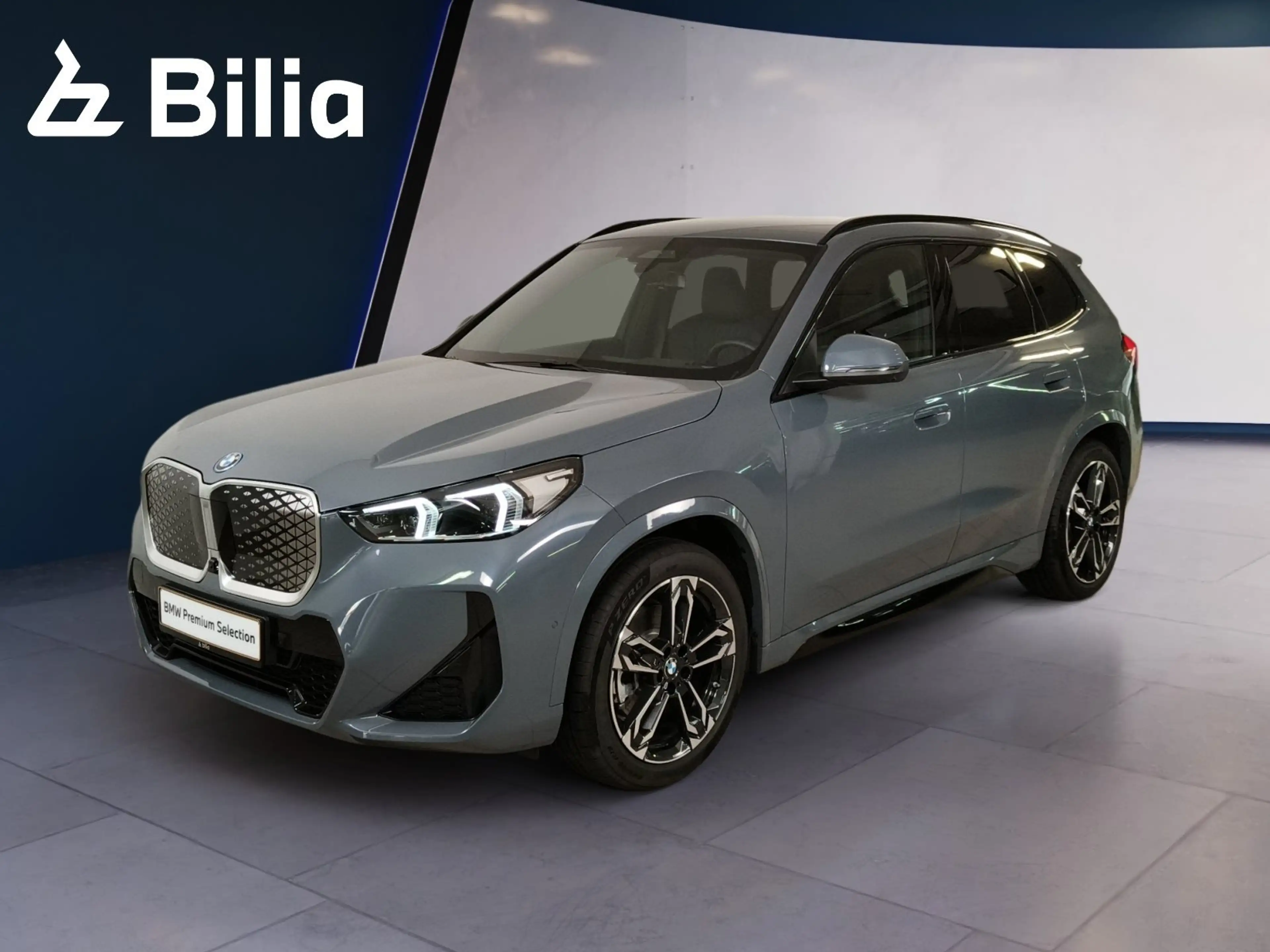 BMW iX1 xDrive30 Head-Up HK HiFi DAB
