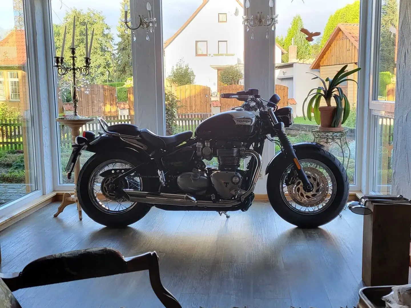 Triumph Speedmaster Bonville Negro - 1