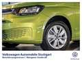 Volkswagen Caddy Life DSG 1.5 TSI Euro 6e Klima Grün - thumbnail 13