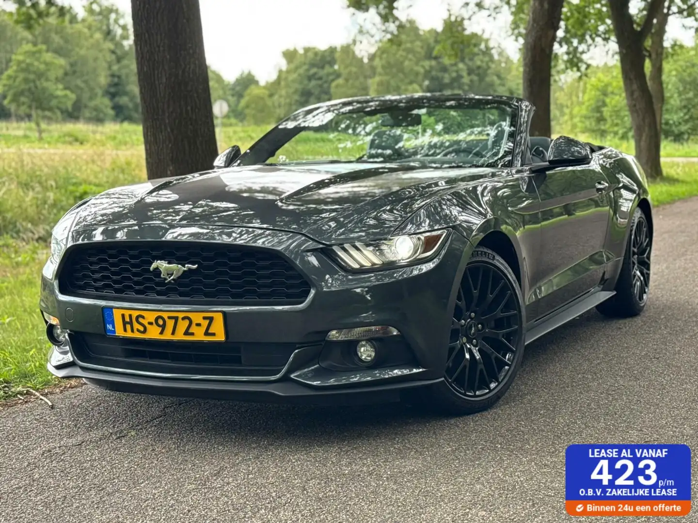 Ford Mustang Convertible 317pk NL auto 2.3 EcoBoost Groen - 1