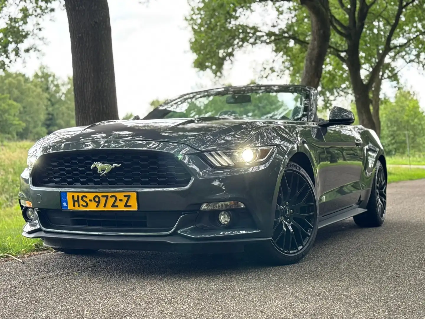 Ford Mustang Convertible 317pk NL auto 2.3 EcoBoost Groen - 2