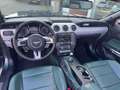 Ford Mustang Convertible 317pk NL auto 2.3 EcoBoost Groen - thumbnail 11