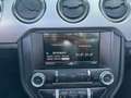 Ford Mustang Convertible 317pk NL auto 2.3 EcoBoost Groen - thumbnail 34