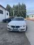 BMW 316 316d - thumbnail 13