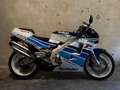 Suzuki RG 250 RGV250 1992 Blauw - thumbnail 1