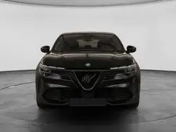 Alfa Romeo Junior 2026